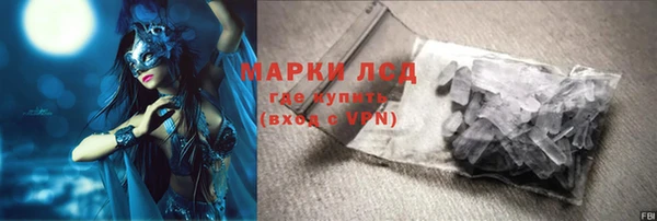 ГАЛЛЮЦИНОГЕННЫЕ ГРИБЫ Михайлов