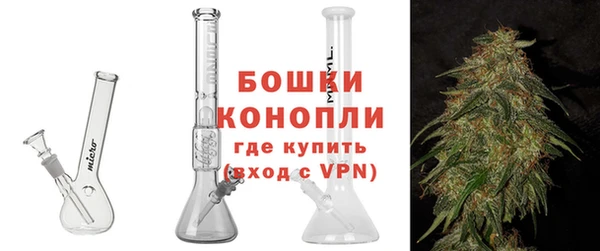 ГАЛЛЮЦИНОГЕННЫЕ ГРИБЫ Михайлов