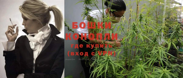 ГАЛЛЮЦИНОГЕННЫЕ ГРИБЫ Михайлов