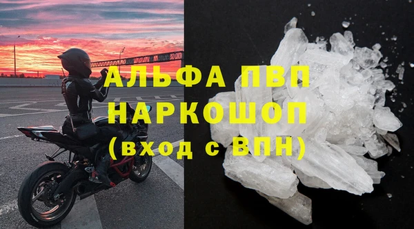 ГАЛЛЮЦИНОГЕННЫЕ ГРИБЫ Михайлов