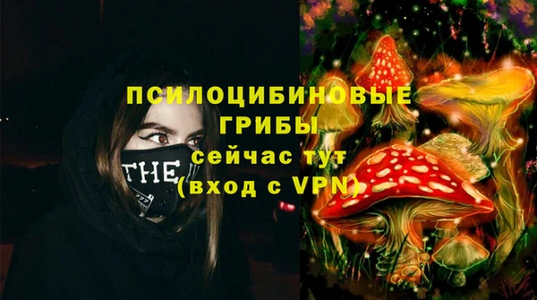 ГАЛЛЮЦИНОГЕННЫЕ ГРИБЫ Михайлов