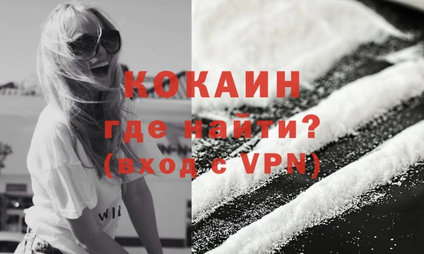 ГАЛЛЮЦИНОГЕННЫЕ ГРИБЫ Михайлов
