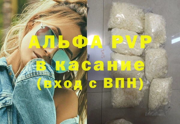 ГАЛЛЮЦИНОГЕННЫЕ ГРИБЫ Михайлов