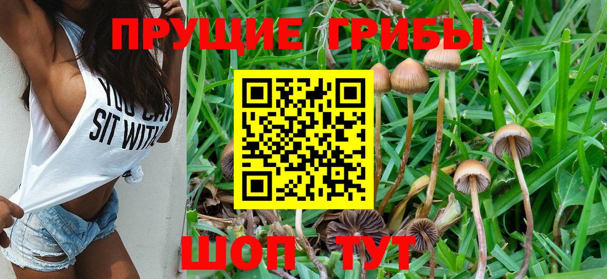Псилоцибиновые грибы GOLDEN TEACHER Пушкино