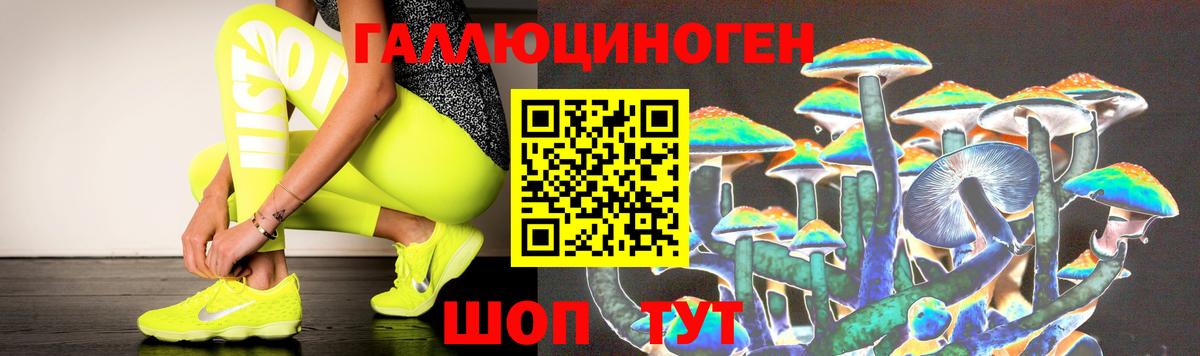 как найти закладки  Пушкино  Псилоцибиновые грибы Psilocybe 