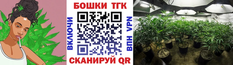 Конопля OG Kush  Пушкино 